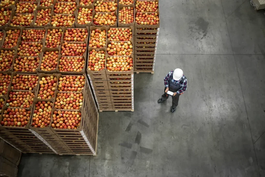 Aerial view of a worker with a clipboard overseeing crates of apples in a warehouse, preparing for EXW shipment
